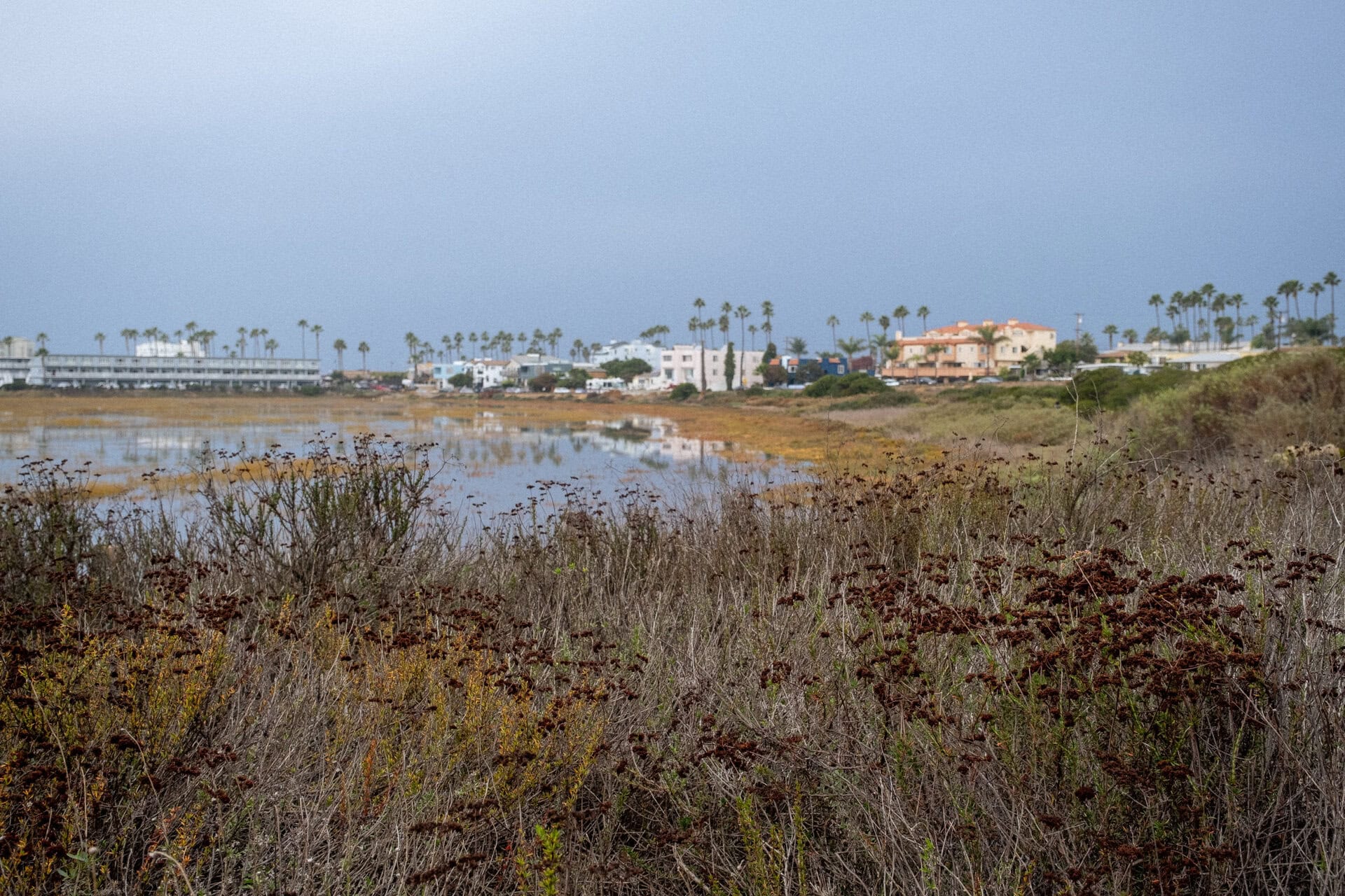 Tijuana Estuary Visitor Center, nature education center in Imperial Beach, photo 5 of 8