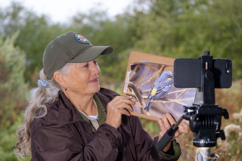 CA State Parks Research Assistant recording and informational video at the Tijuana Estuary