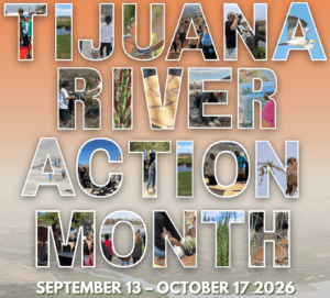 Collage of images representing Tijuana River Action Month activities and wildlife. TRAM runs from September 13 to October 17