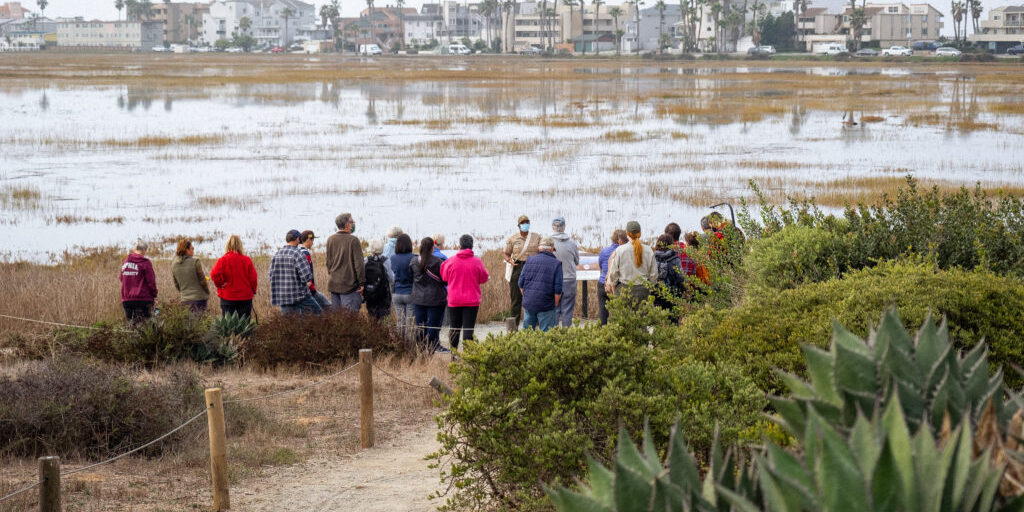 Group of people overlooking the marsh at the Tijuana Estuary for a guided nature walk