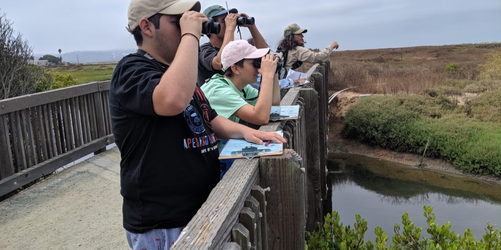 A group of students look out onto the Estuary