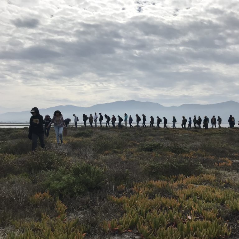 Estero de Punta Banda People participate in a field experience in a wetland of importance.