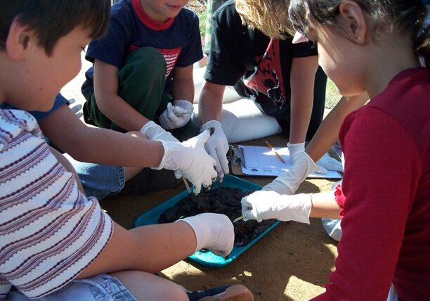 Junior Rangers Mudflat Inverts Activity