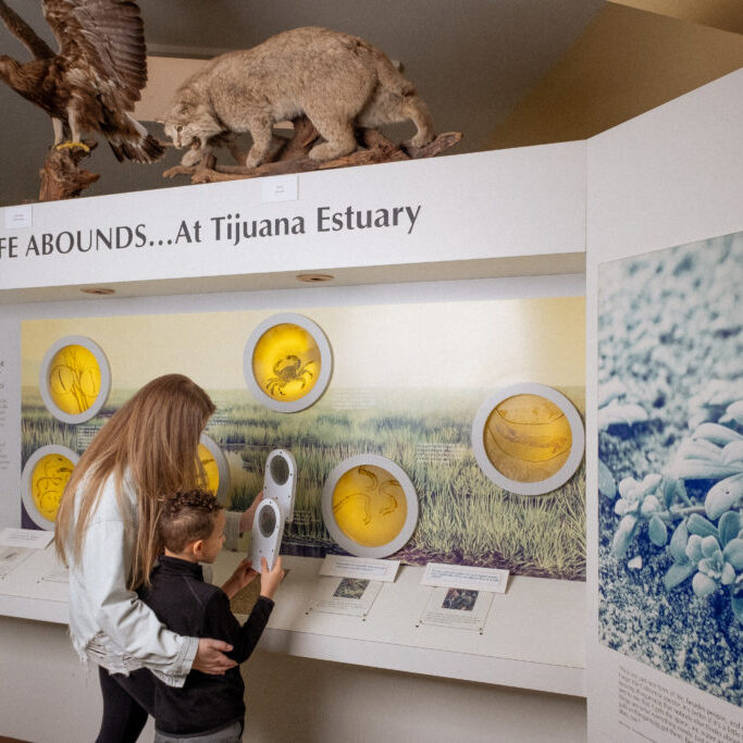 Mother and son stop to read an exhibit inside the Tijuana River Estuary Visitor Center