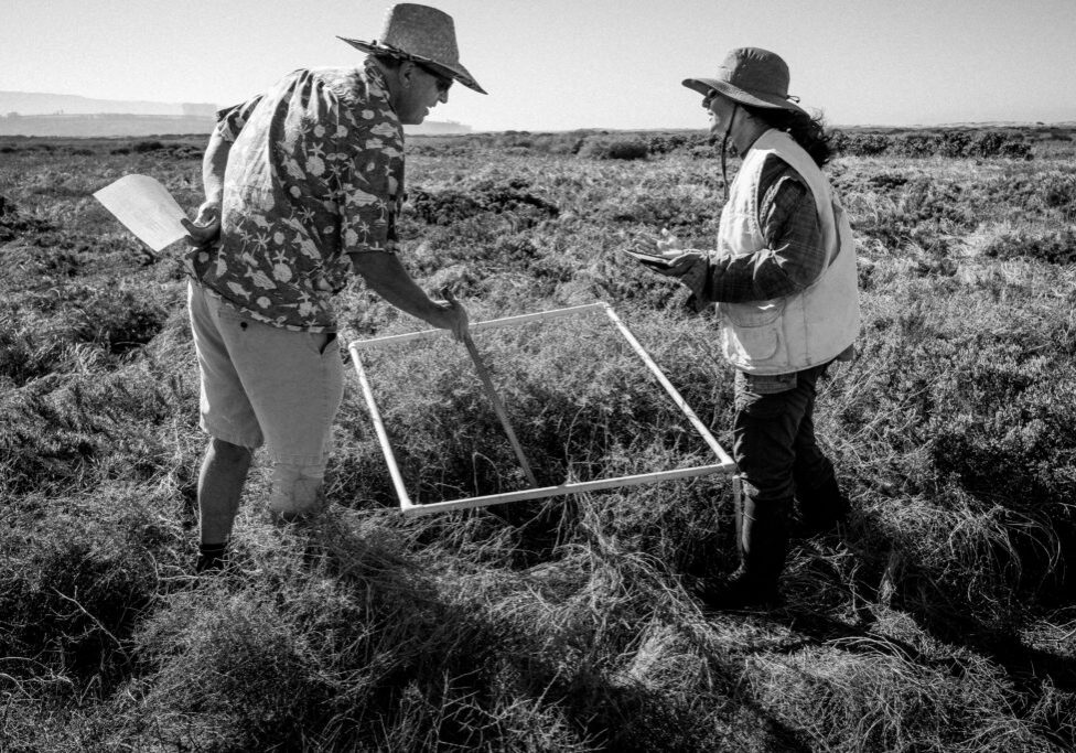 Staff members from TRNERR carry equipment in the field. They are working together on vegetation sampling.