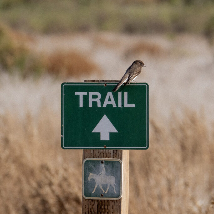 Trail and equestrian sign in the Tijuana Estuary