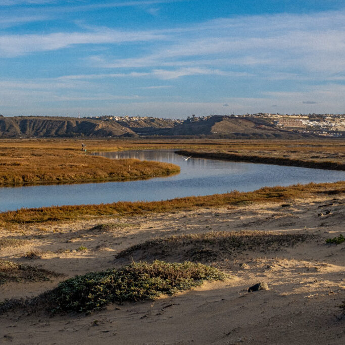 Looking out onto the Estuary and Border Field State Park, with a view of the Mexican City of Tijuana in the background